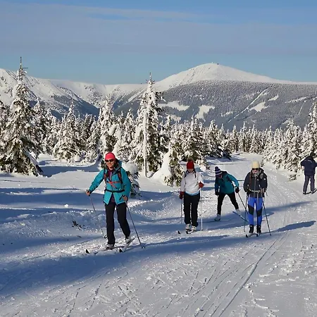 Wellness Iveta 3* Žacléř