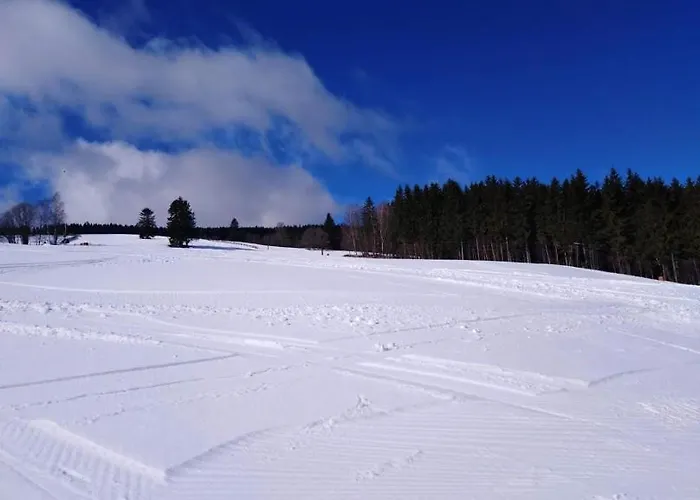 Casa de hóspedes Wellness Iveta Žacléř