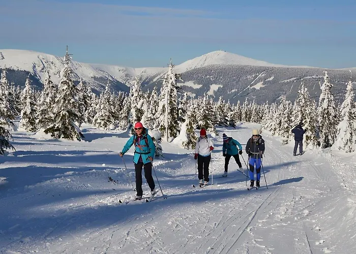Wellness Iveta 3* Žacléř