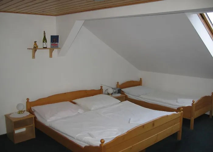 Casa de hóspedes Wellness Iveta 3*
