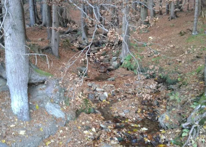 Wellness Iveta 3* Žacléř